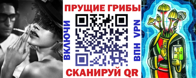 Галлюциногенные грибы Cubensis  Купить  Горняк 